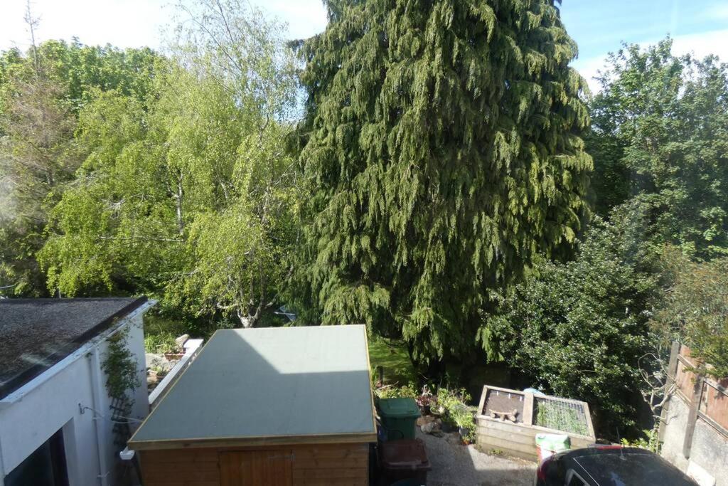 Ferney Croft Apartment Saint Erth Exterior photo